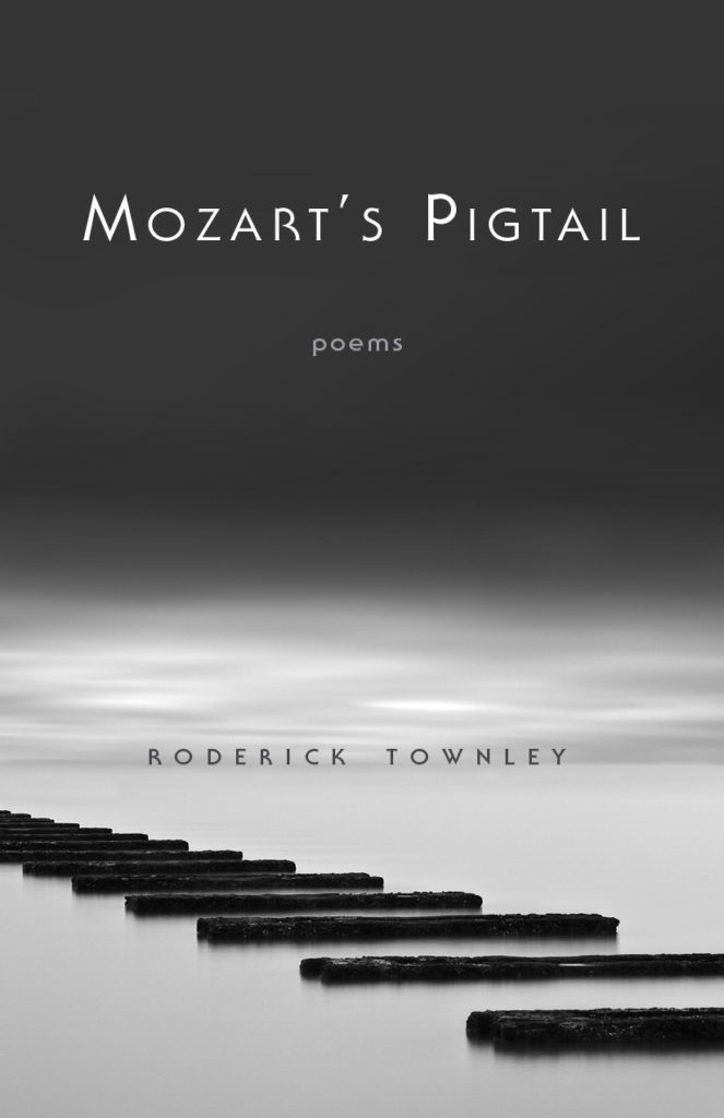 cover image of book